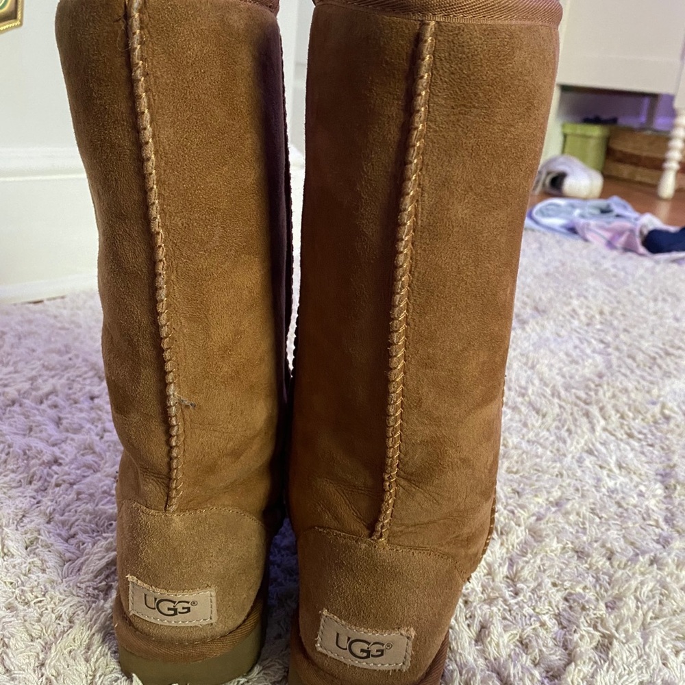 American Tall Chesnut Uggs